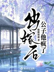 出嫁后公子他疯了
